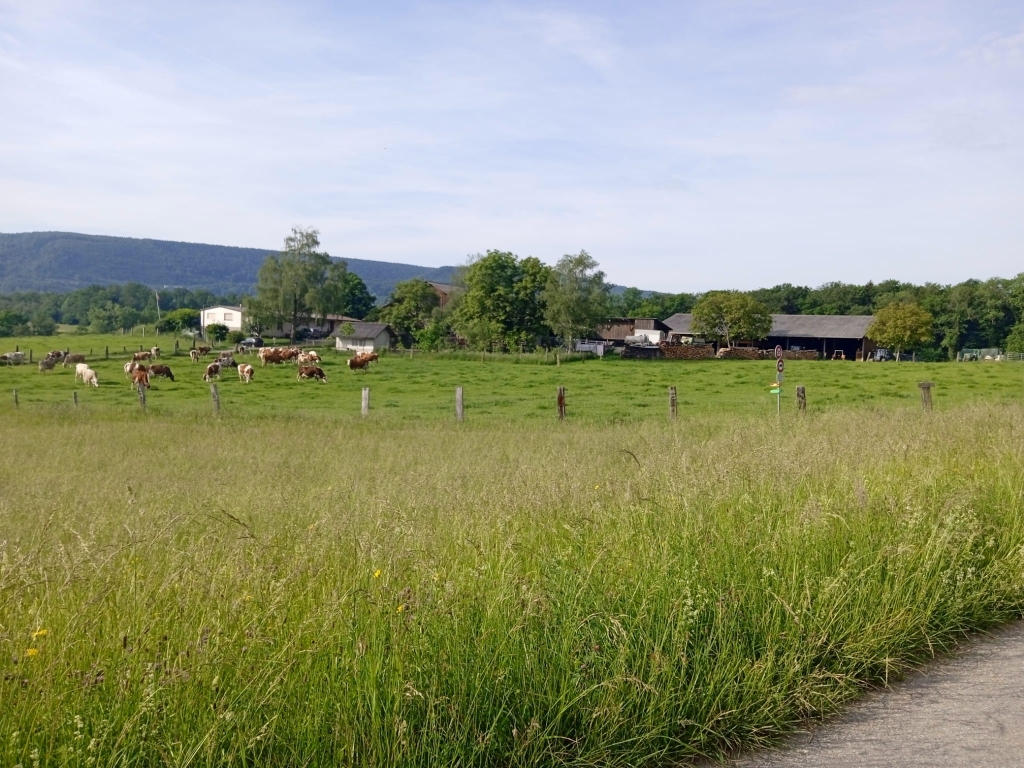 Sicht auf den Hof